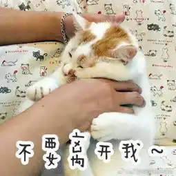  初代网红表情包相继离世愿小天使们一路走好