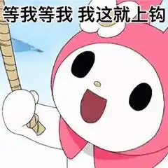 可爱的库洛米三丽鸥表情包六