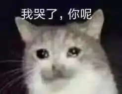 别说了表情包什么意思聊