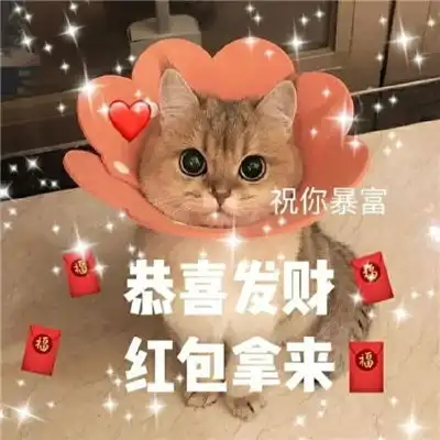  超萌新年猫咪拜年表情包2021坏运统统走开