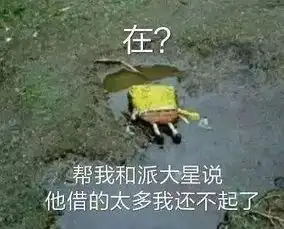  程潇生图怎么被黑成这样了