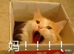  不扶墙就服你,地表最强孕妇的ella挺9月大肚干出这种事