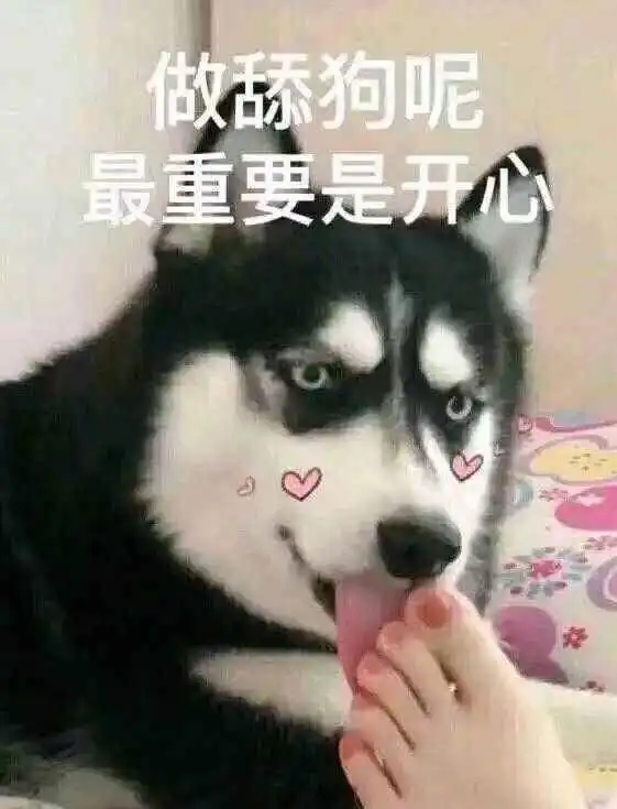  码头再被戏耍,宁当小媳妇,也不当正宫以史为鉴,雇佣军靠不住