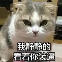  我就静静的看着你装逼表情包大全