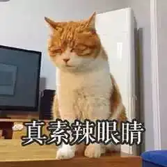  四通搬家说斗图界的夕阳红势力,这些爷爷奶奶表情包你收藏了吗