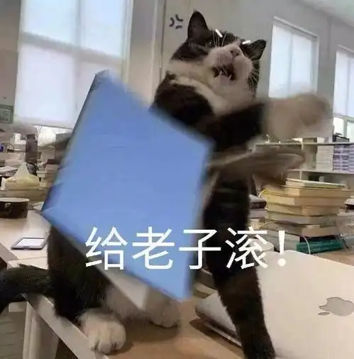  你单身的真实原因是什么