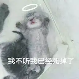  猫咪表情包喵