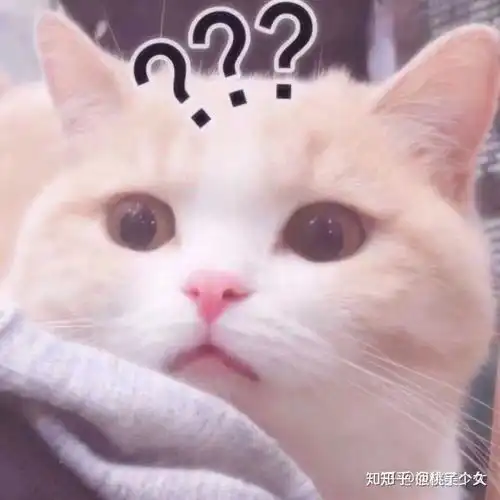  适合撩汉的可爱猫猫狗狗表情包速来收藏