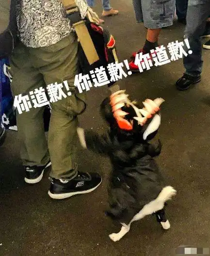  有哪些甜甜的女追男也可以是女a男o的小说推荐呀