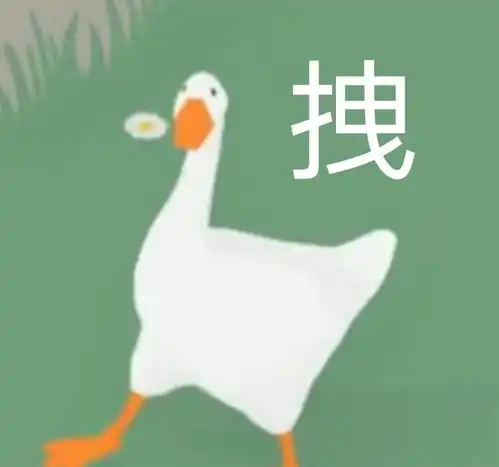  适合冲浪女孩儿用的表情包