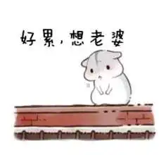  抖音哄老婆专用高清无水印表情包分享