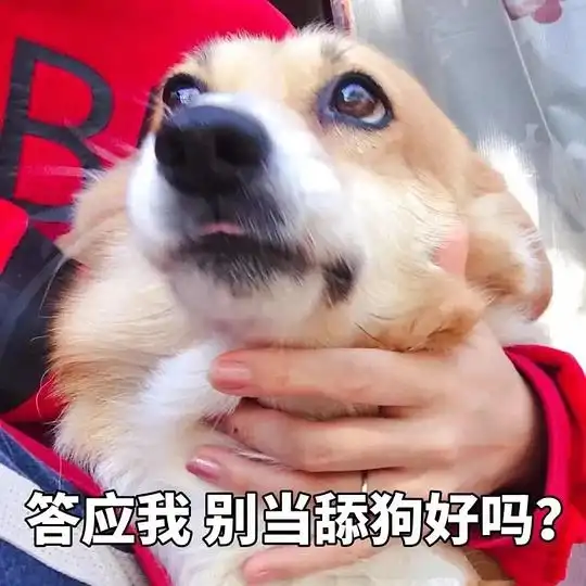  硬茬小巫的相册奇奇怪怪的东西