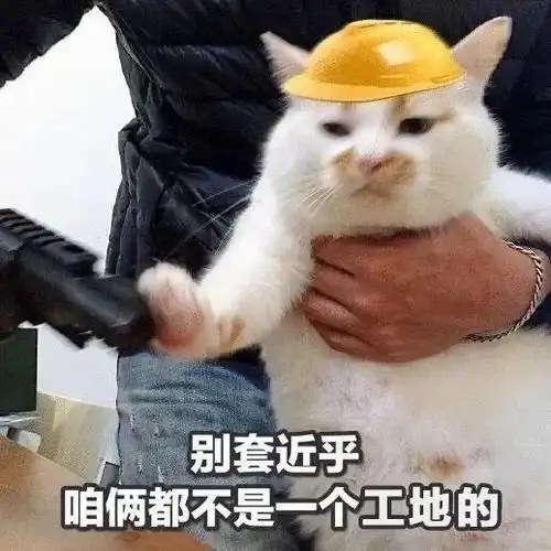  又不让我快乐,又不让我睡觉