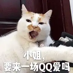  表情网红猫楼楼动态表情