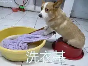 洗衣机不清洁,你的衣服只会越洗越脏专业的事交给爱家一百