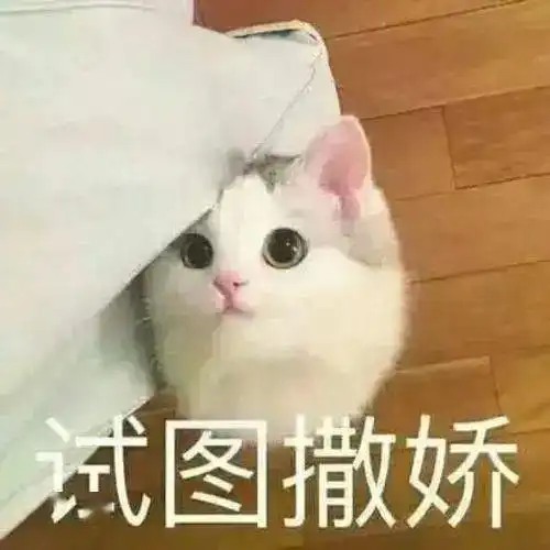 撒娇表情包图片你说