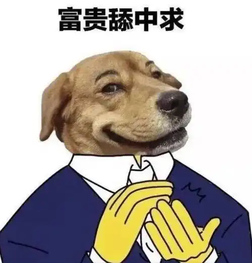 舔狗图片表情包哲学