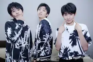  没错我只允许四个人宠爱tfboys