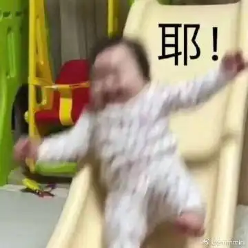  zmmmini的微博微博