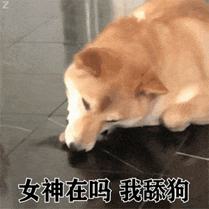  舔狗系列表情包我要做姐姐的舔狗