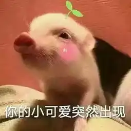  请查收有趣的班级游戏