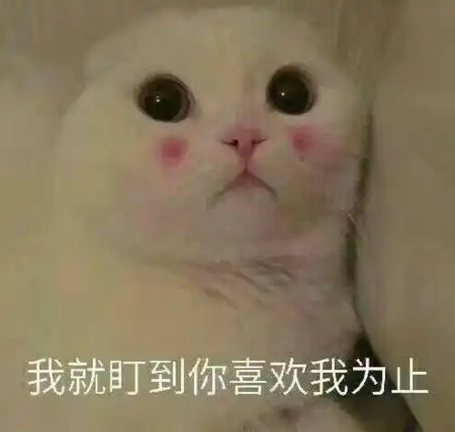 我错了下次还敢表情包大