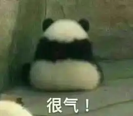 我错了下次还敢表情包熊