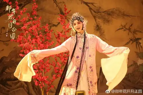  那年花开月正圆丨槽点笑点大集合内含多种表情包