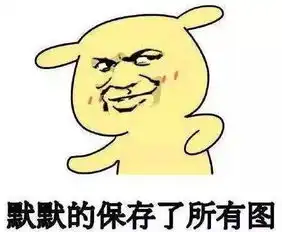  对方不想说话,只丢给你一个北理表情包