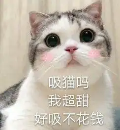  你平常聊天会用哪些求人的表情包