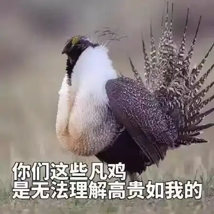  肯德基为什么越做越难吃了