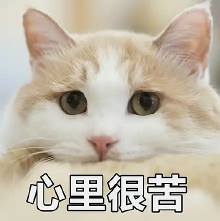  猫咪表情包没人疼,没人爱,我是地里的小白菜