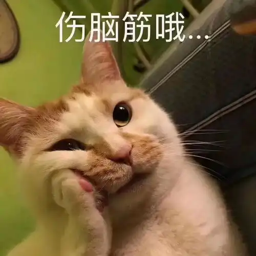  985毕业的妈妈教不了小学生,儿子把骑读成ji,老师说错了