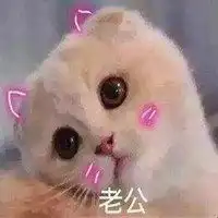  卖萌撒娇表情包微信头像图片大全