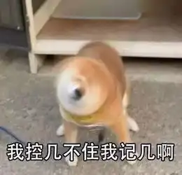  铜管很闲弦乐很忙打击乐身兼数职一篇不正经的交响乐团指南