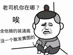 一无所有表情包对象