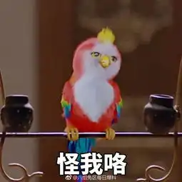  楚乔传鹦鹉表情包楚乔传鹦鹉楚乔传鹦鹉表情