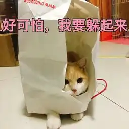  可买猫咪的表情包斗图专用