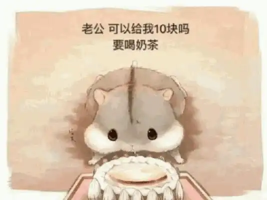  老公老婆日常聊天表情包,情侣必备