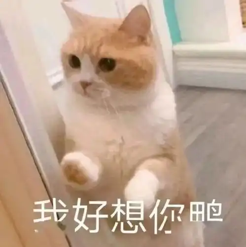  表情包不想上班又想有钱怎么办