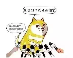  七夕来了,单身狗避难指南送给你