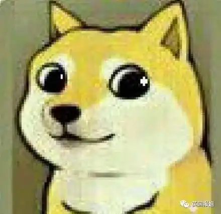  喂,你可是偶像啊