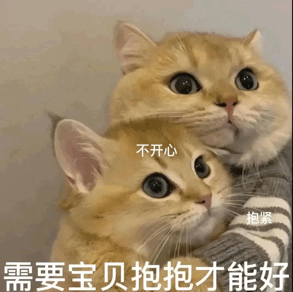  聊天可爱的抱抱表情包