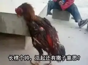 吃鸡游戏搞笑图片表情爆