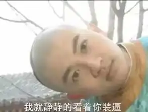  史上最全还珠格格表情包来了