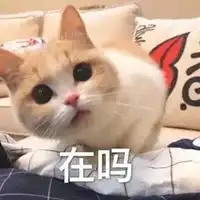  跟老公撒娇的表情包