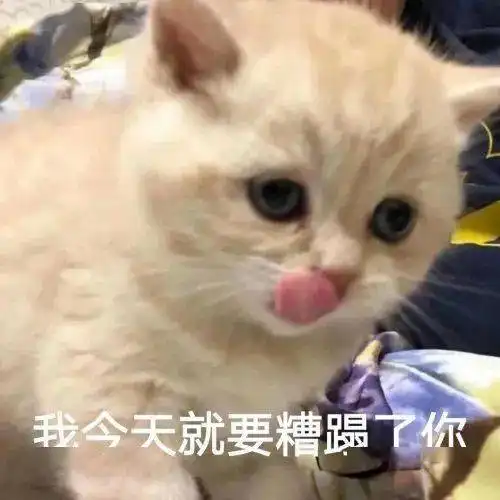  聊天斗图表情包丨甜心我来啦