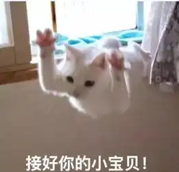 猫咪开心表情包头像