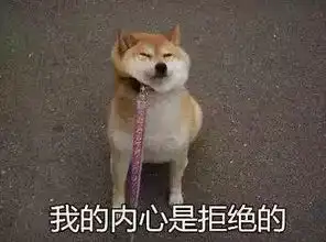  有点意思,这届新秀球还没开始打上戏倒是不少