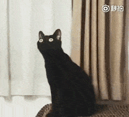  雨水来袭最长高温结束可能还会有台风